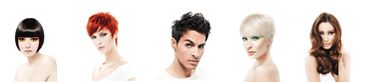 Friseur Darmstadt: Stein's Hair